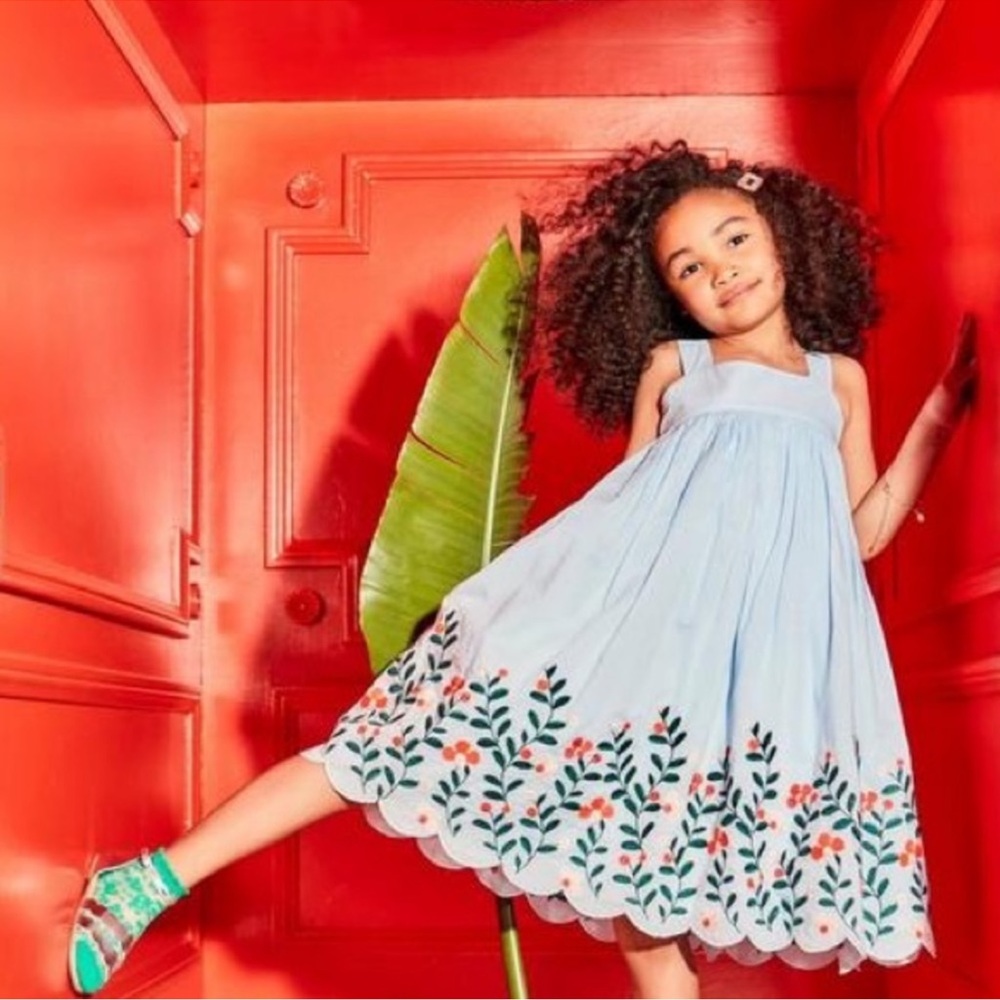 Janie and Jack embroidered flower border dress